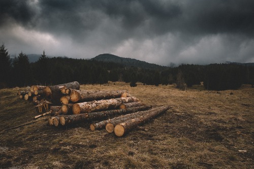 proteger le bois des intemperies - acheter bois de chauffage en ligne, livraison partout en France - Combustibles Gruchy