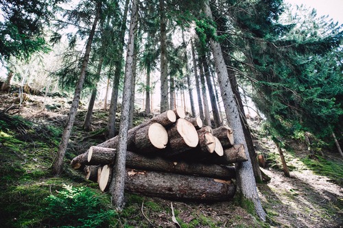 comment bien stocker le bois - Combustibles Gruchy 