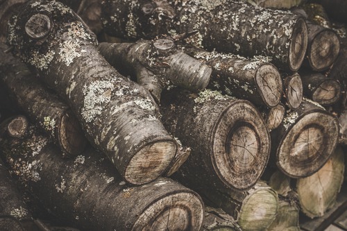 comment stocker le bois de chauffage - achat de bois de chauffage en ligne - Combustibles Gruchy