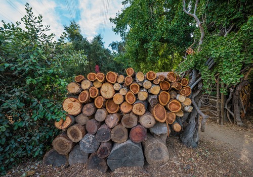 bois de chauffage 76 - Achat de bois de chauffage Paris île de France - Gruchy