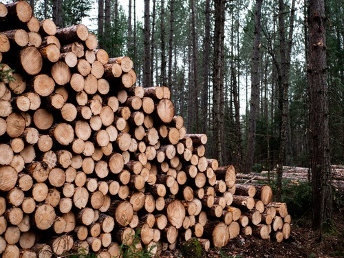 bois de chauffage sec 77 - granulés de bois en île de France : Combustibles Gruchy 