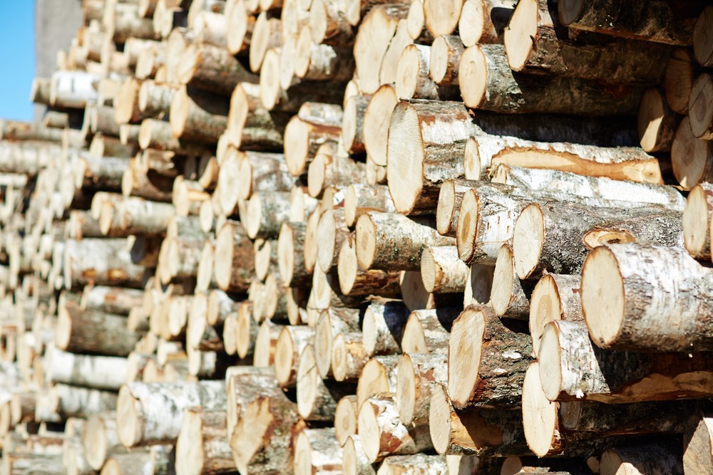 Stère de bois Tout ce qu