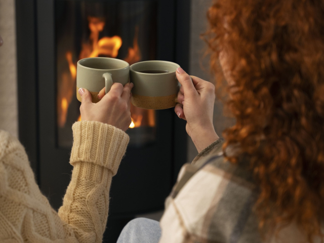 Comment choisir son poêle à granulé de bois ?