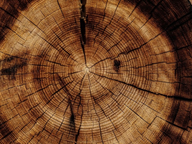 Tout savoir sur le bois densifié