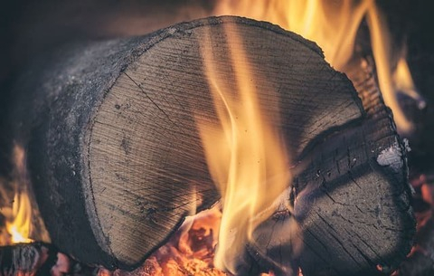 Quel bois de chauffage choisir ?