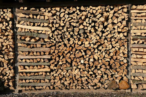 Quel est le meilleur bois de chauffage en 2025 ?